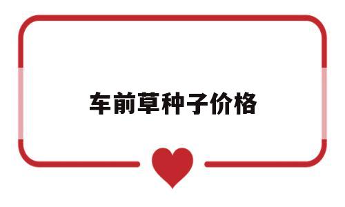 车前草种子价格(车前草种子图片大全)
