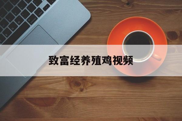 致富经养殖鸡视频(农业节目致富经养殖鸡视频)