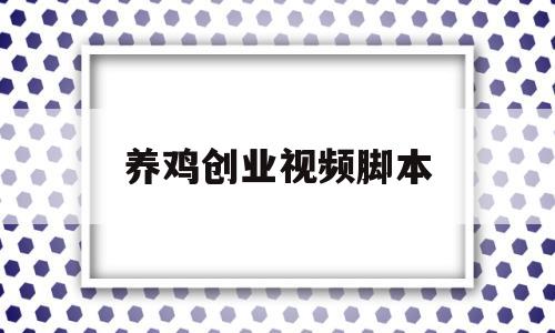 养鸡创业视频脚本(中国养鸡网官网)